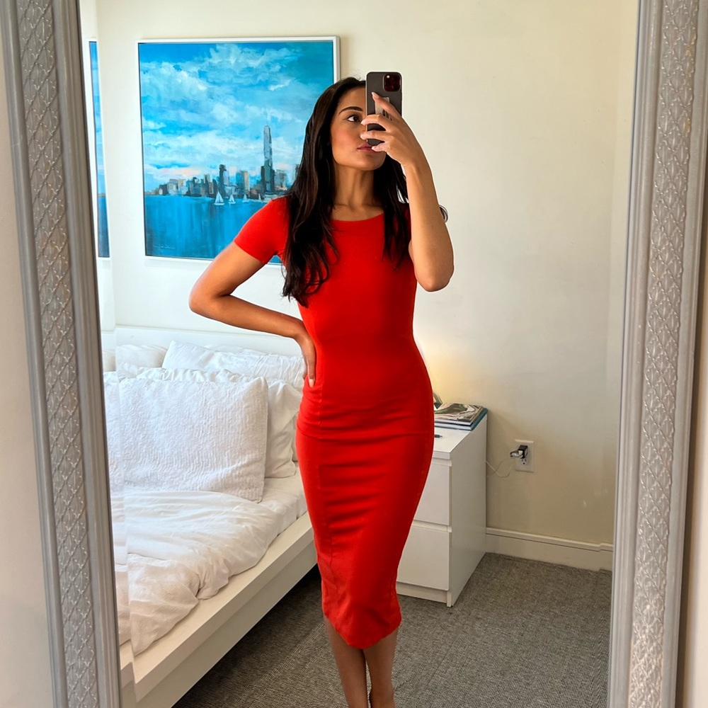 ZARA TRAFALUC bodycon DRESS- XS